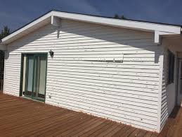 Best Custom Trim and Detailing for Siding  in Park View, IA